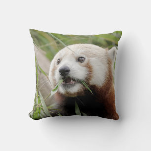 Pillow photo red panda.