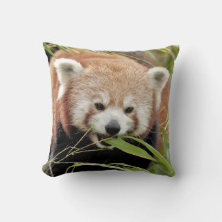 Pillow photo red panda.
