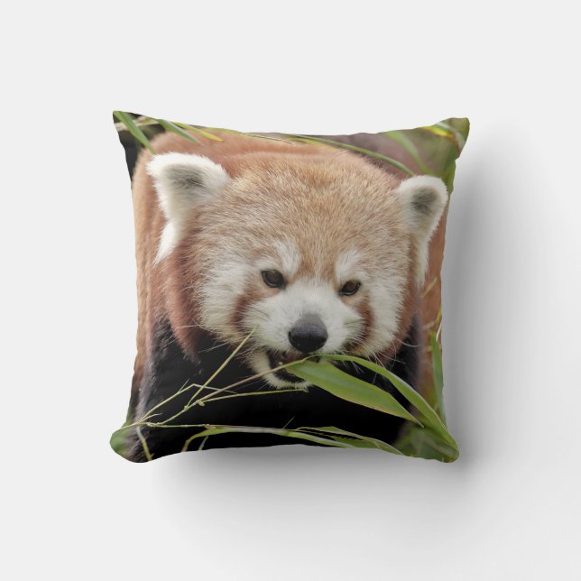 Pillow photo red panda. (Front)
