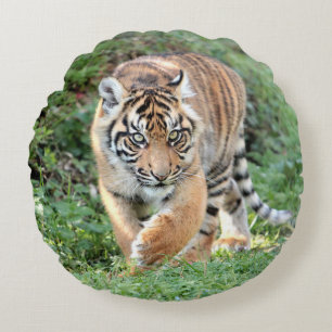 Pillow Photo tiger cat , animals 03 . round pillow