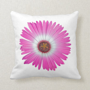 Pillow Shasta Daisy in "hot pink"