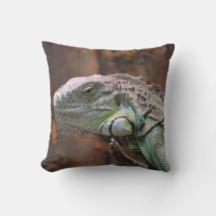 Pillow with colourful Iguana lizard