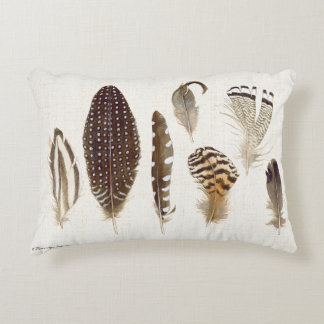Pillow with gorgeous handpainted feathers!