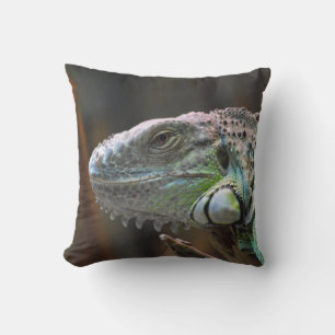 Pillow with head of colourful Iguana lizard