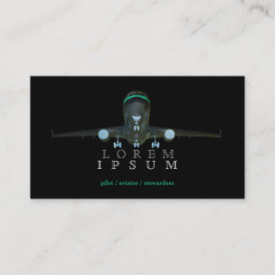 Pilot Aviator Stewardess Plane Sky Air Post Fly Business Card