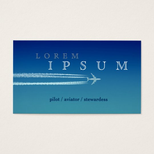 Pilot Aviator Stewardess Plane Sky Fly Air Post Business Card