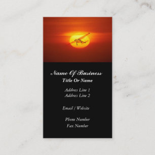 Pilot Business Card