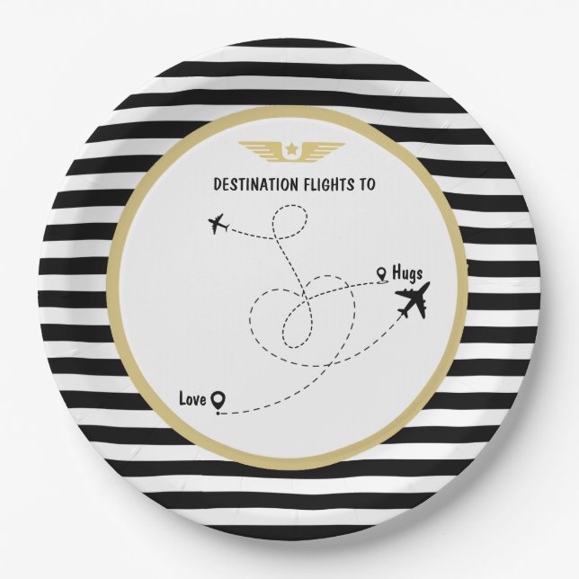 Pilot destination aviation aeroplane & wings  paper plate (Front)