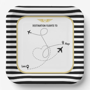 Pilot destination aviation paper plate