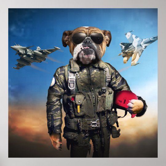 Pilot dog,funny bulldog,bulldog poster | Zazzle.co.uk