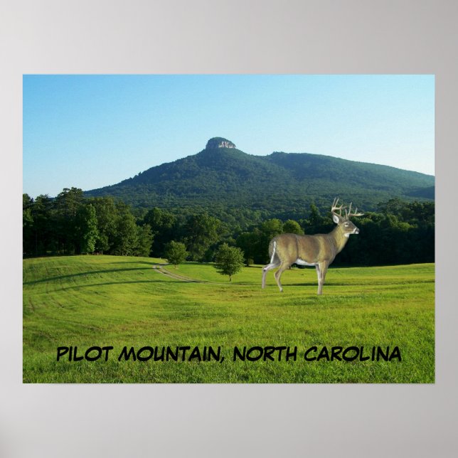 PILOT MOUNTAIN, NORTH CAROLINA POSTER (Front)