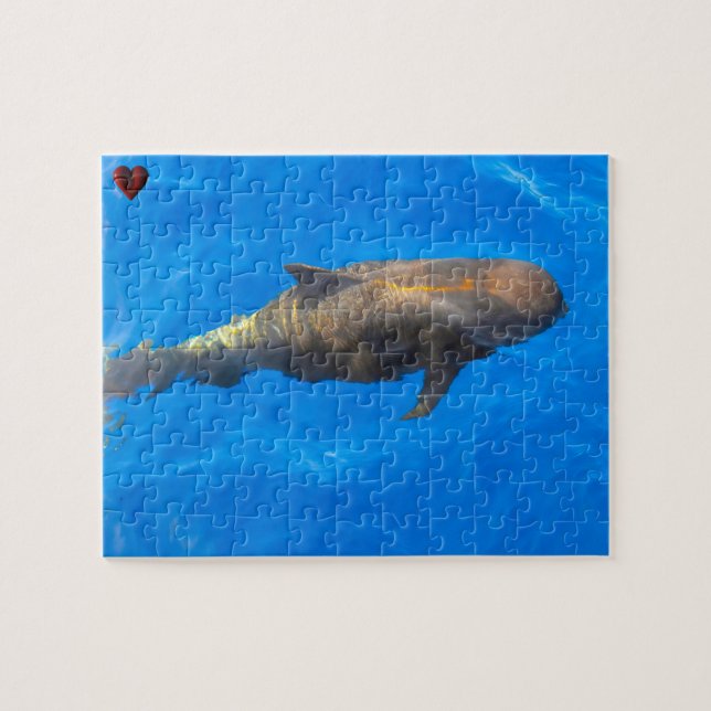 Pilot Whales Jigsaw Puzzle (Horizontal)