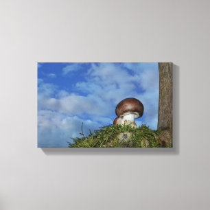Pilz - Zeit Canvas Print
