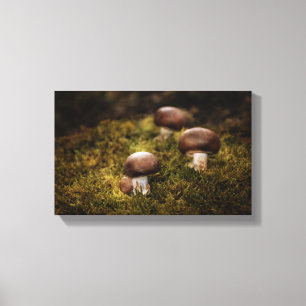 Pilze im Wald Canvas Print