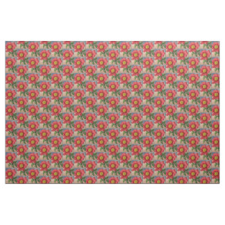 Pima cottan  fabric