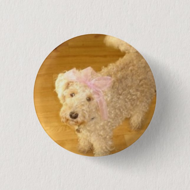 Pin (Front)