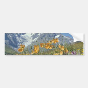 Pin Alps, France flowers Bumper Sticker