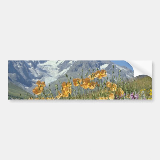 Pin Alps, France flowers Bumper Sticker (Front)