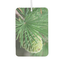 Pine Air Freshener