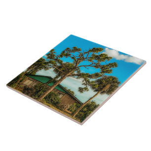 Pine and Palm Trees Tile