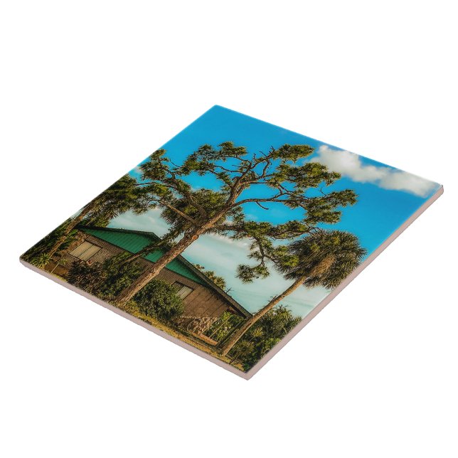 Pine and Palm Trees Tile (Side)