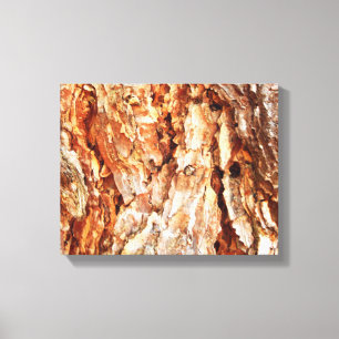 Pine Bark Canvas Print