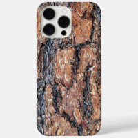 Pine Bark Texture