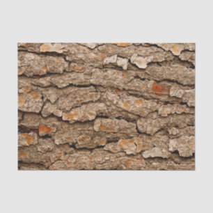 Pine Bark Texture  Tissue Paper