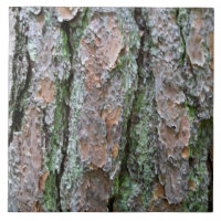 Pine Bark