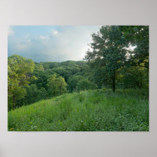 Pine Bend Bluff Overlooking Valley Woodlands Poster
