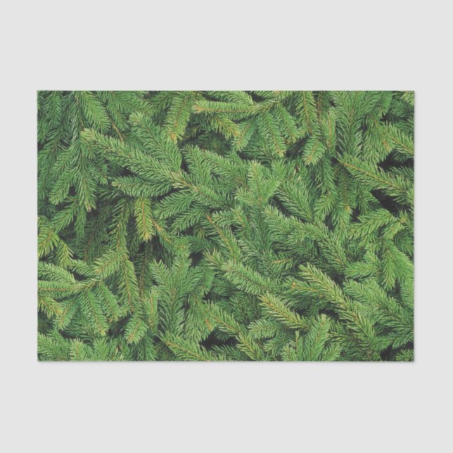 Pine Blanket Tissue Paper (Front)