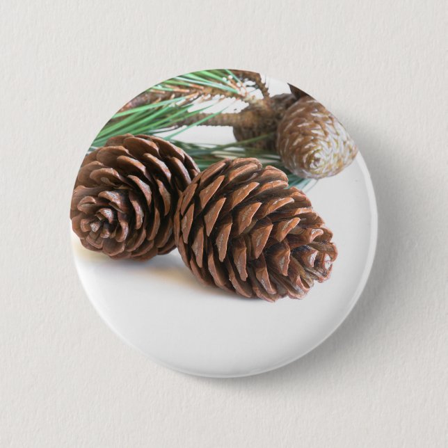 Pine branch and cones 6 cm round badge (Front)