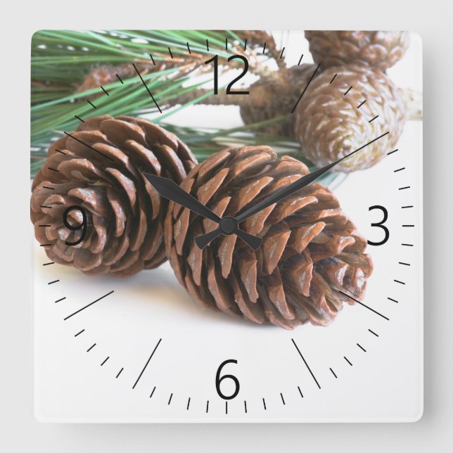 Pine branch and cones square wall clock (Front)