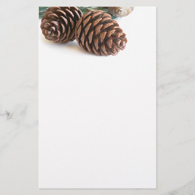 Pine branch and cones stationery (Front)