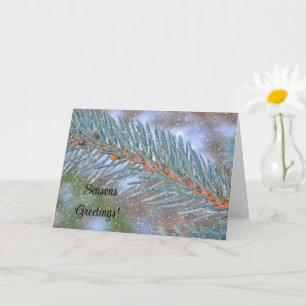 Pine Branch Snow Scene Seasons Christmas Card