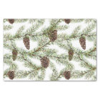 Pine branches and cones Christmas, New Year