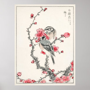 Pine Bunting on Plum Tree by Numata Kashu Poster