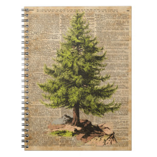 Pine,Cedar Tree,Christmas Tree Dictionary Art, Notebook