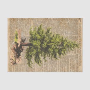 Pine,Cedar Tree,Christmas Tree Dictionary Art, Tissue Paper