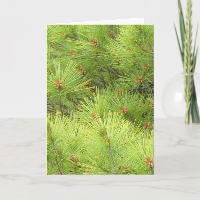 Pine Christmas Card (Front)