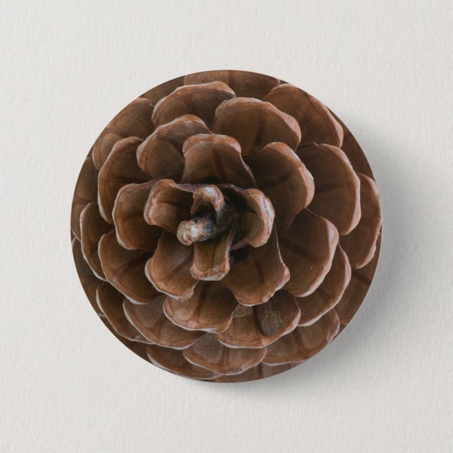 Pine cone 6 cm round badge (Front)