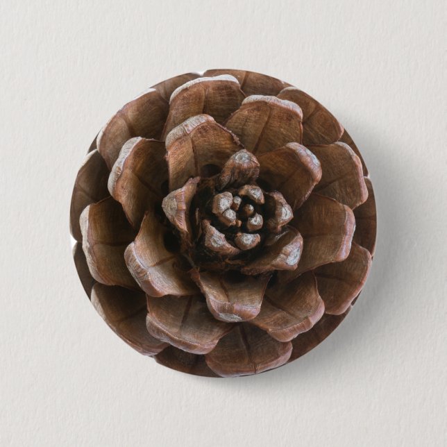 Pine cone 6 cm round badge (Front)