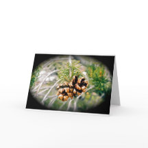 Pine Cone All-Occasion Greeting Card