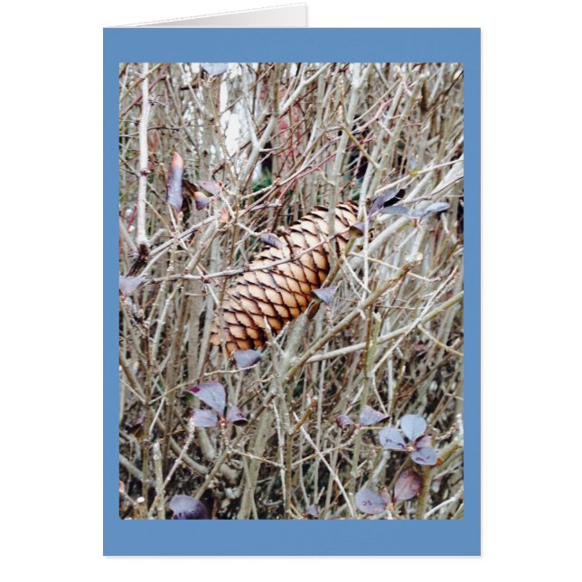 Pine Cone and Flowers in the Grass (Front)