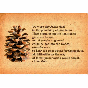 Pine Cone And John Muir Quote Photo Sculpture Magnet