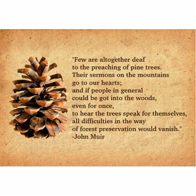Pine Cone And John Muir Quote Photo Sculpture Magnet (Front)