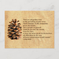 Pine Cone And John Muir Quote