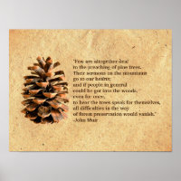 Pine Cone And John Muir Quote