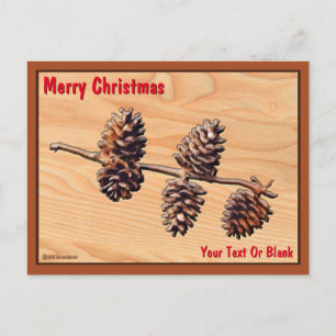 Pine Cone Branch On Wood Postcard