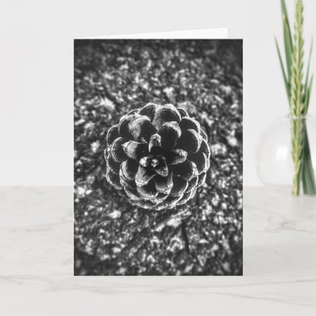 Pine Cone Card (Front)